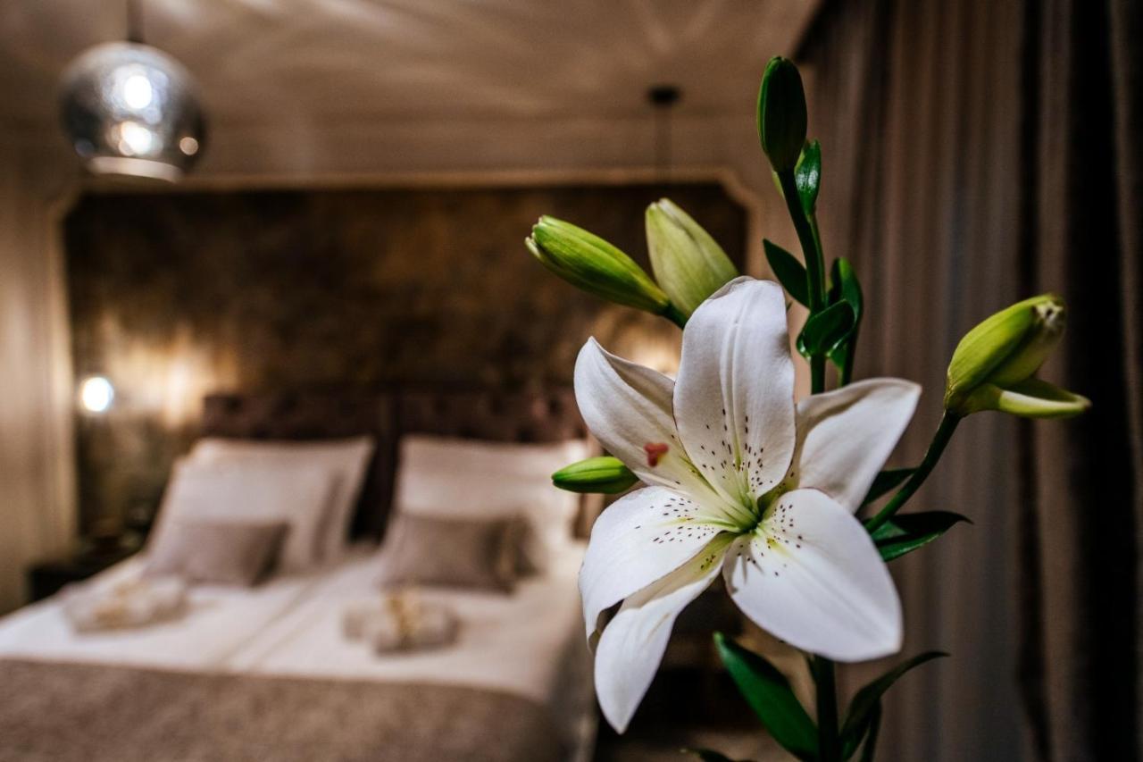Luxury Rooms Vindemiae Zadar Exterior foto
